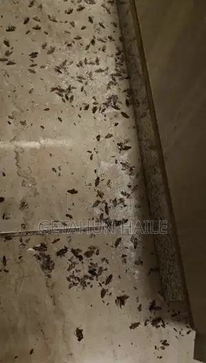 በረሮ ማጥፊያ Cockroch Killer