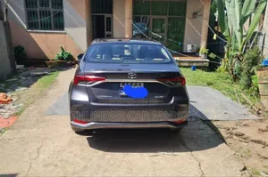 Toyota Corolla 2020 Gray