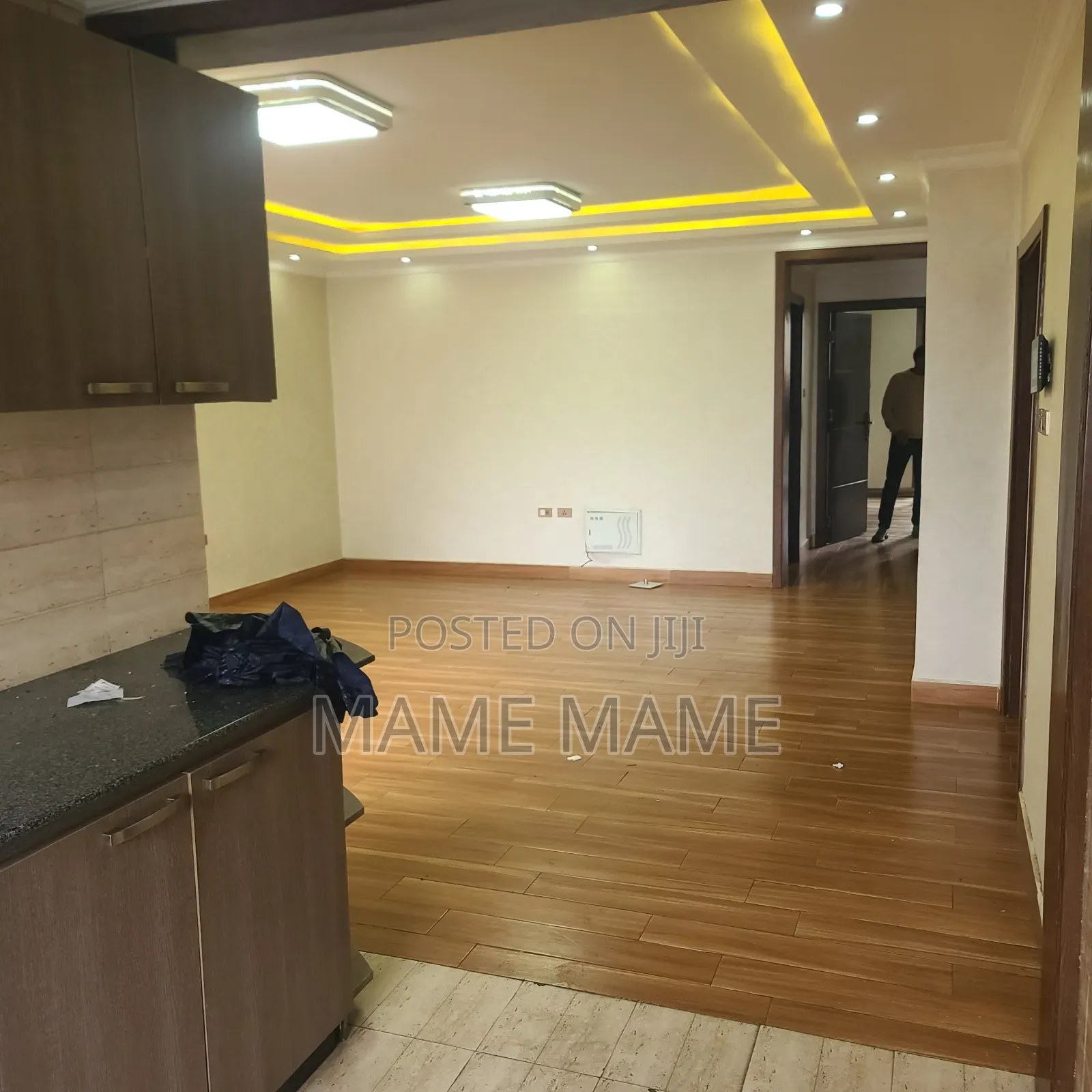 2bdrm Apartment in Addis Abeba, Bole for rent