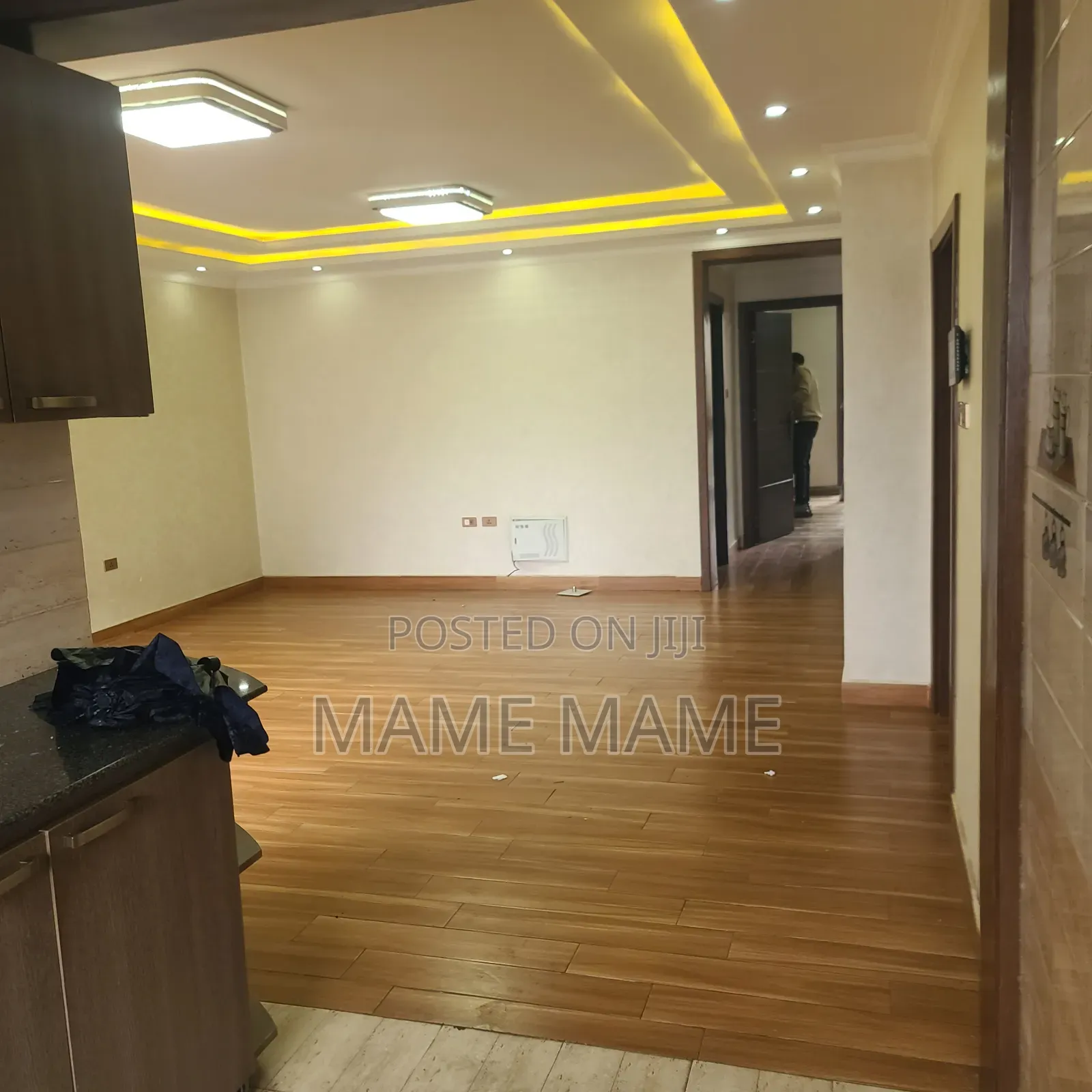 2bdrm Apartment in Addis Abeba, Bole for rent