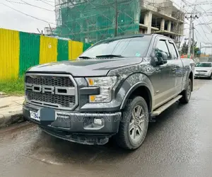 Ford F-150 2017 Gray