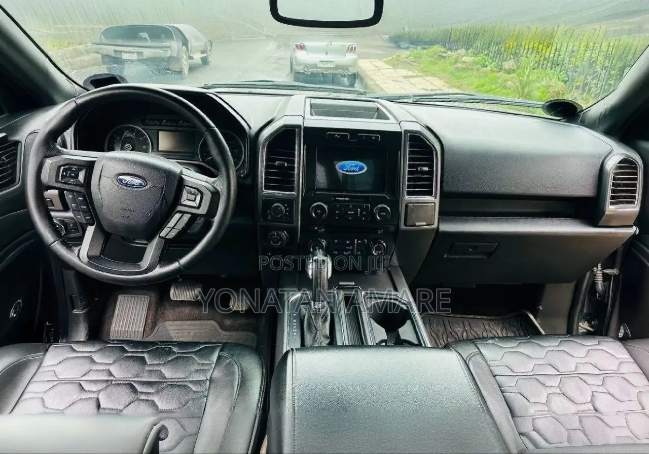 Ford F-150 2017 Gray