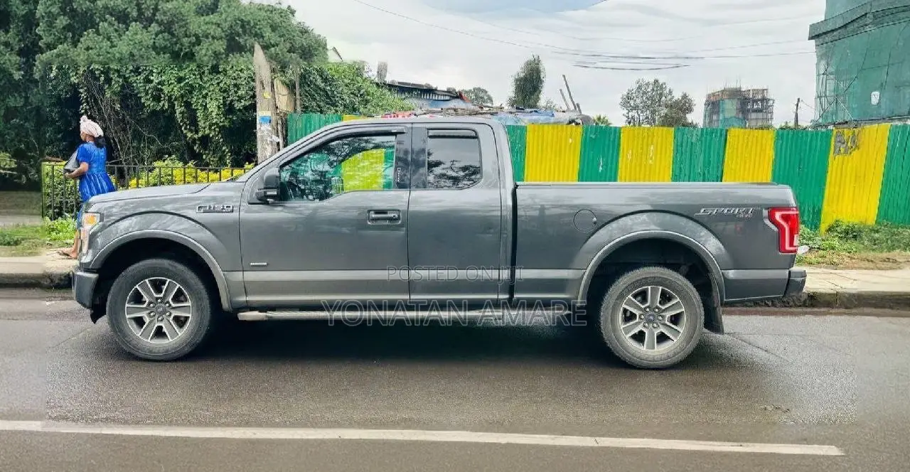 Ford F-150 2017 Gray