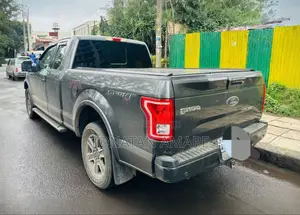 Ford F-150 2017 Gray