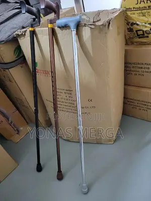 Cane፵¡Naroote Walking Stick~፵who Need Additional Support-ከዘራ