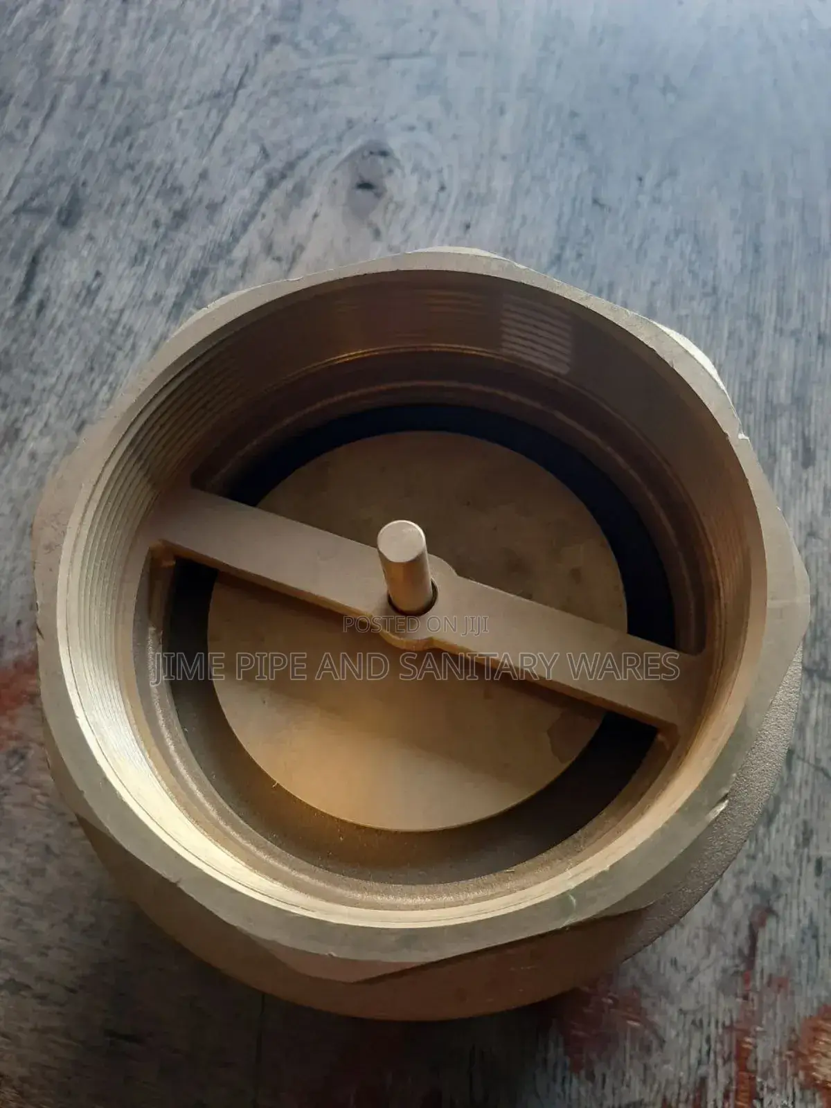Check Valve