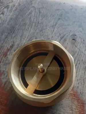 Check Valve
