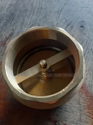 Check Valve