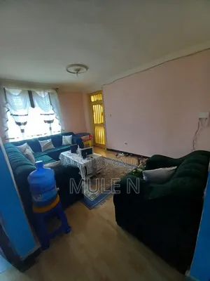 Photo - Furnished 1bdrm Condo in Bole Arebisa for sale