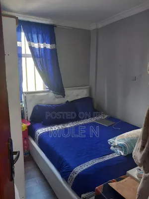 Furnished 1bdrm Condo in Bole Arebisa for sale