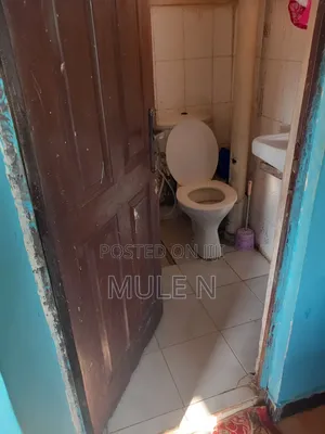 Furnished 1bdrm Condo in Bole Arebisa for sale