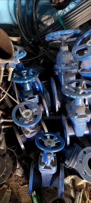 Flanged Gate Valve