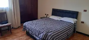 Furnished 1bdrm Apartment in Bole for rent