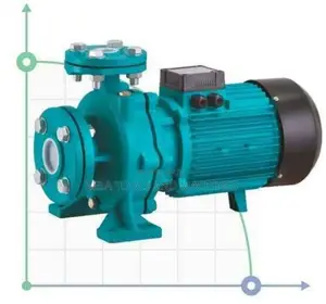 Photo - Leo 5.5hp Pump