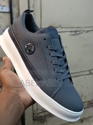 Timberland Sneaker Shoes