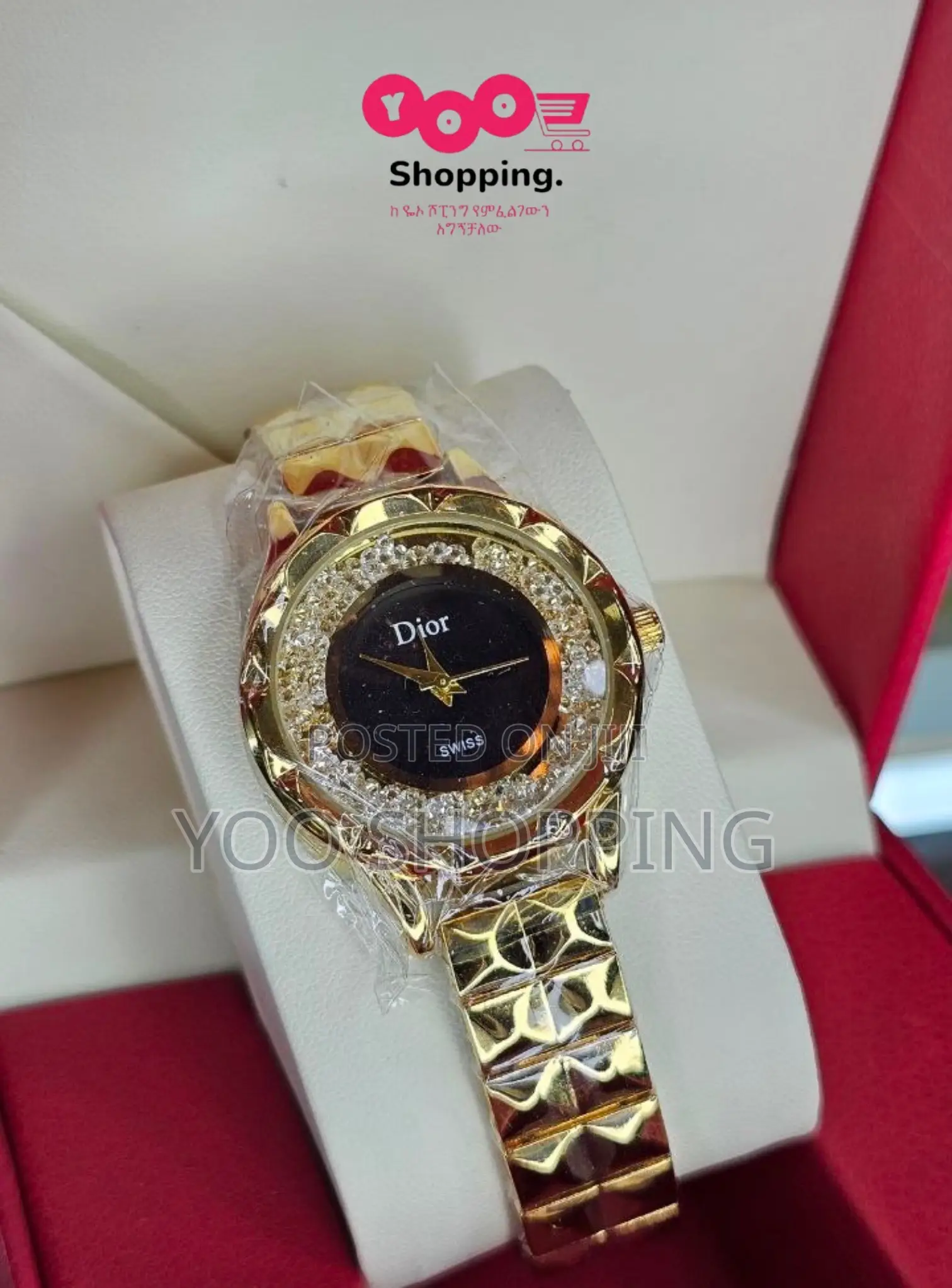 Dior Luxury Rare Ladies Watch