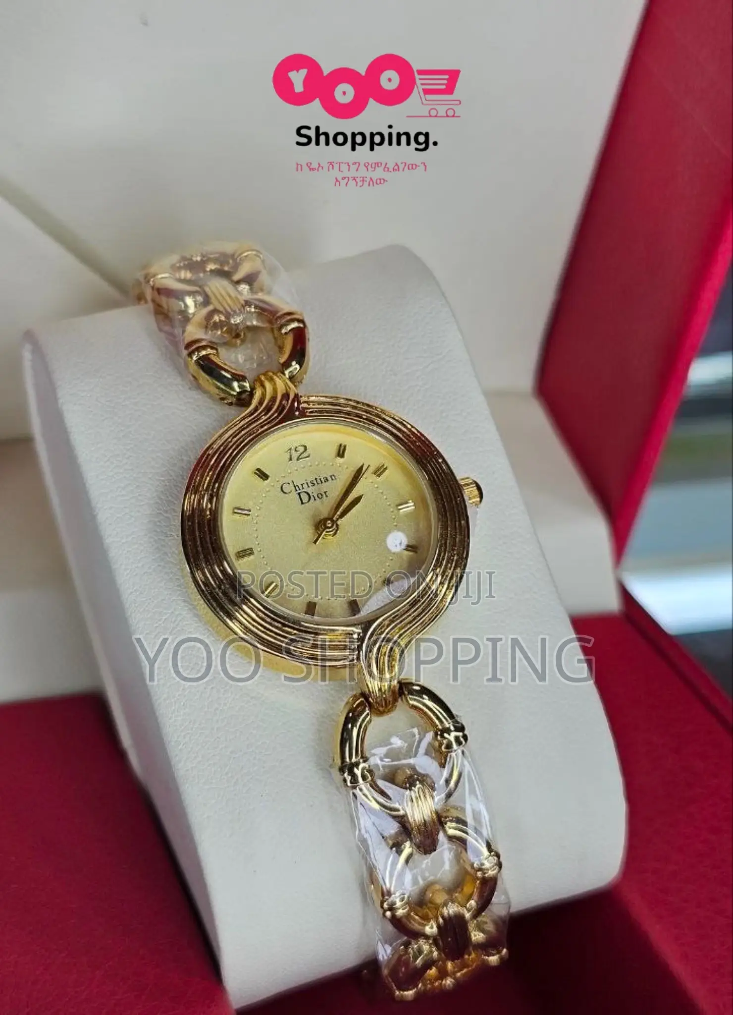 Dior Luxury Rare Ladies Watch