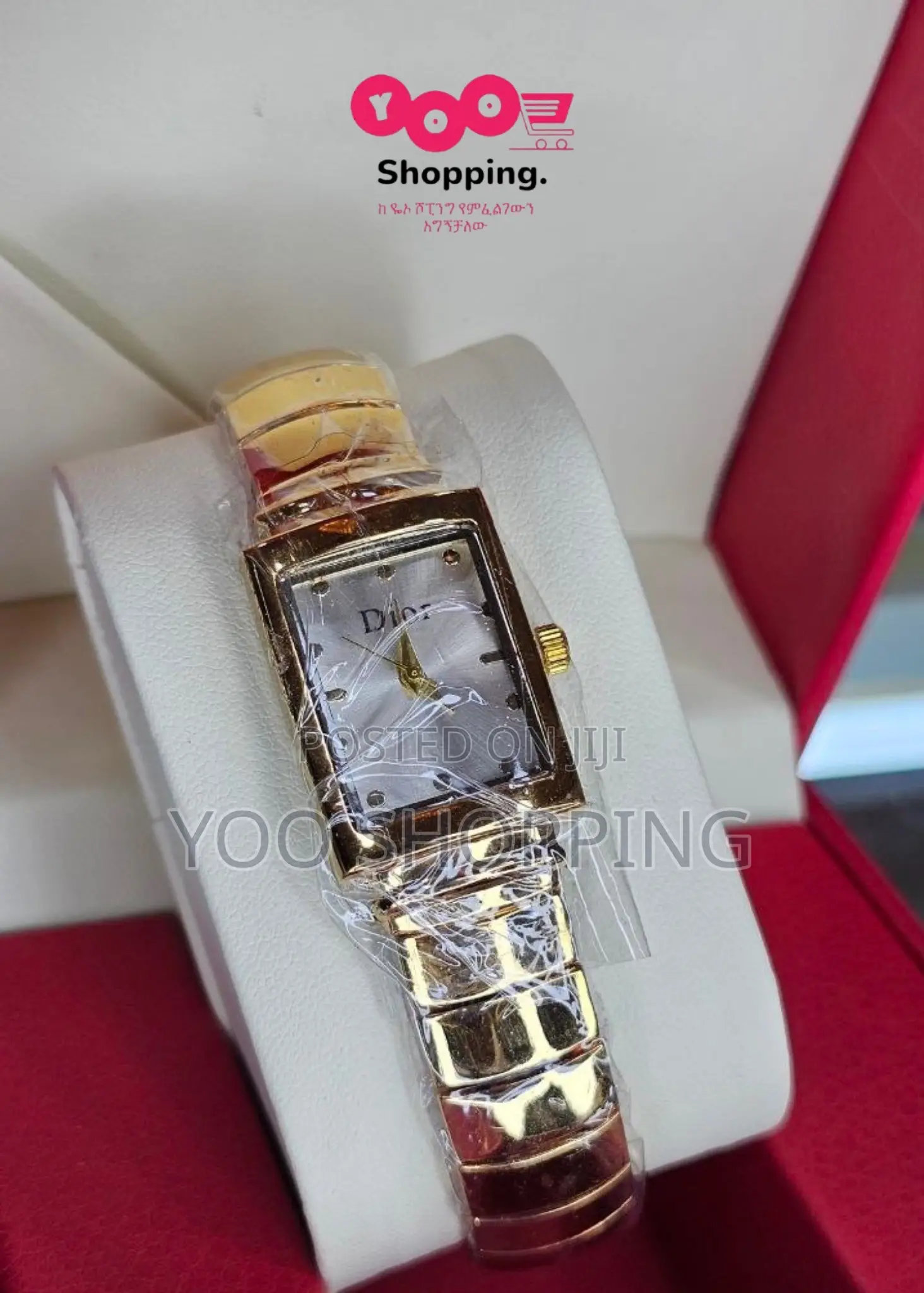 Dior Luxury Rare Ladies Watch