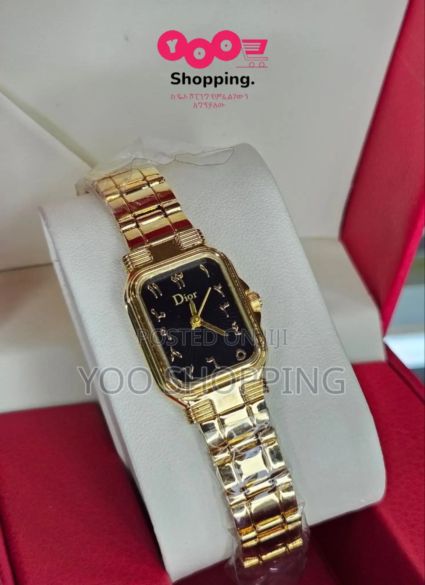 Dior Luxury Rare Ladies Watch