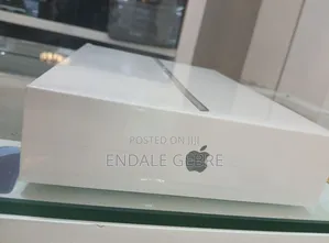 New Apple iPad (2022) 256 GB Gray