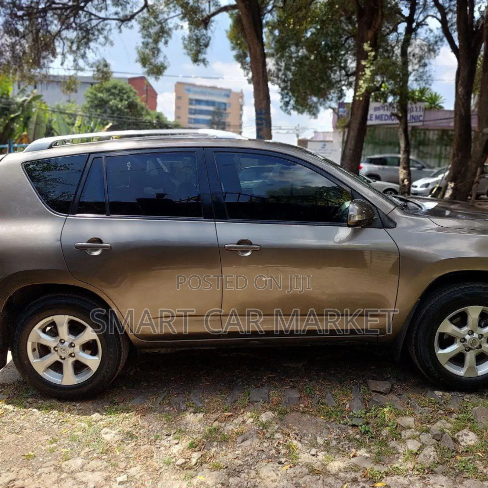 Toyota RAV4 2012 Brown