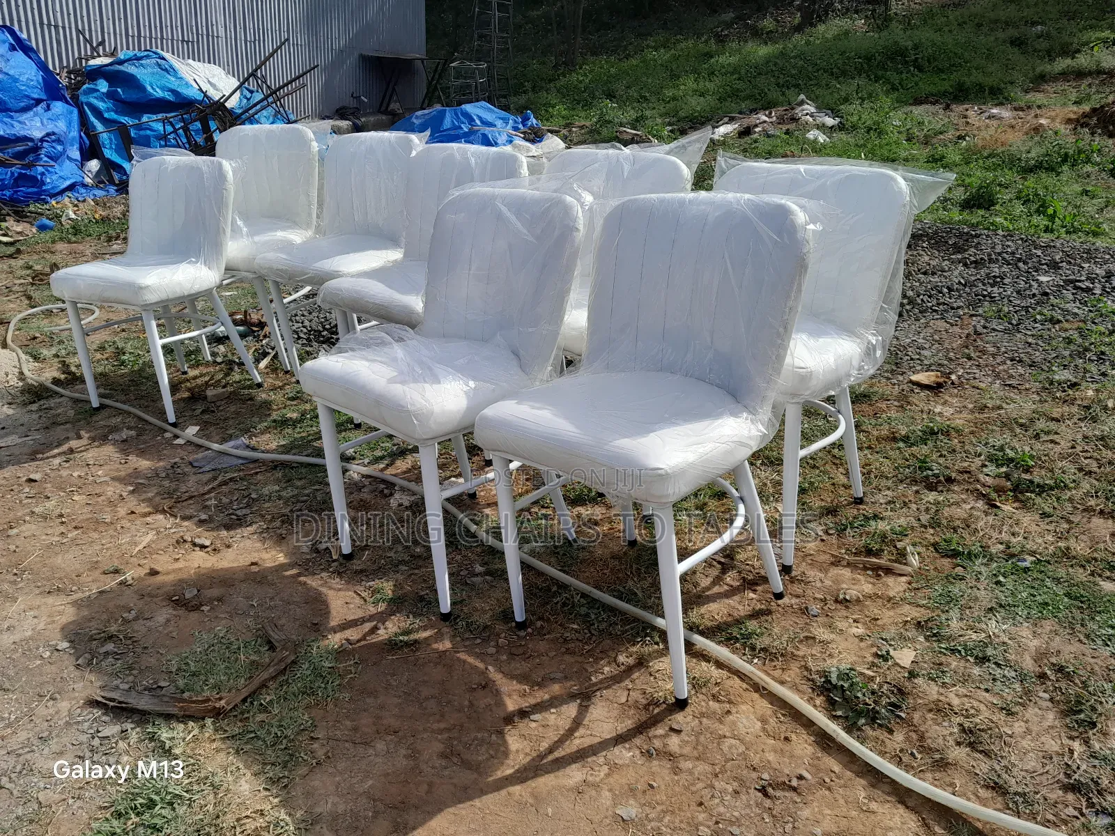 Dining Cafe Restaurant Chairs