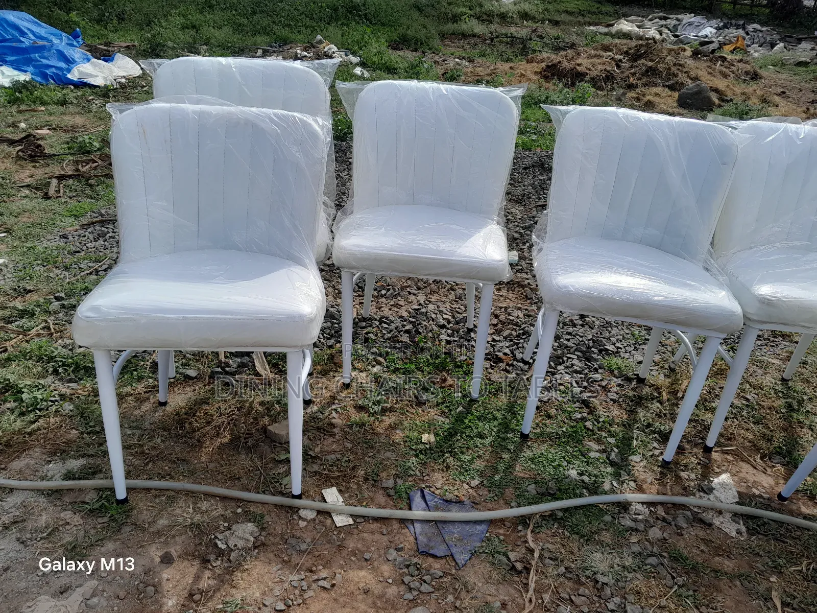 Dining Cafe Restaurant Chairs