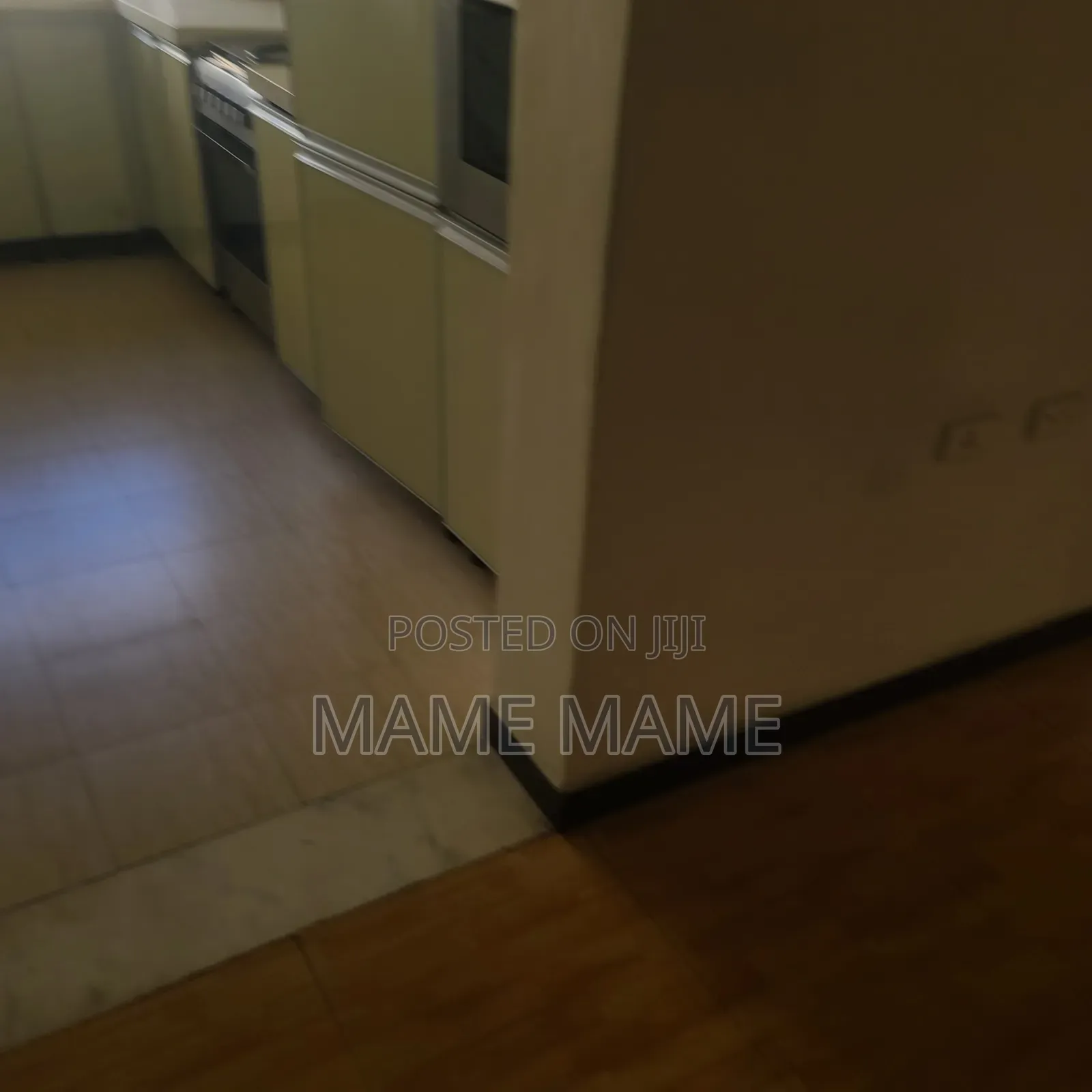 2bdrm Apartment in Addis Abeba, Bole for rent