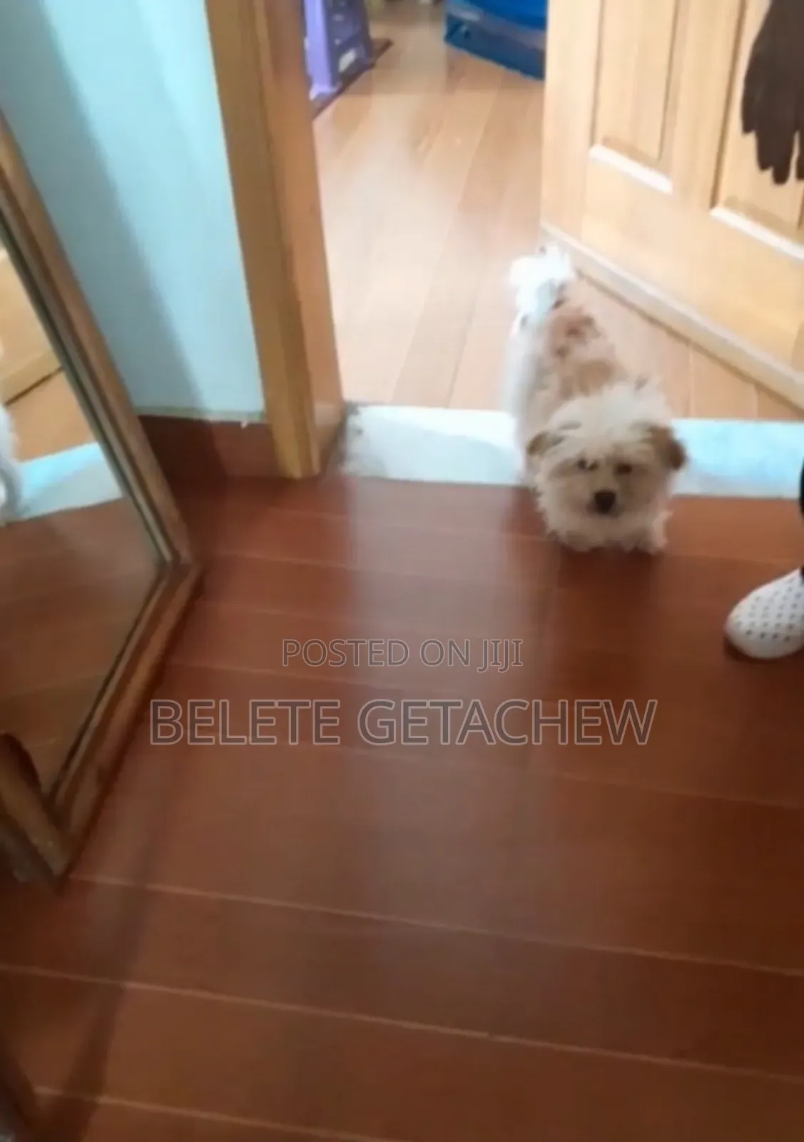 3bdrm Apartment in Semit Fyelbet,, Bole for sale