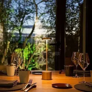 Cordless Charging Lamp