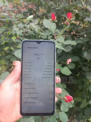 Samsung Galaxy F13 128 GB Blue