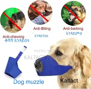 Dog Muzzles