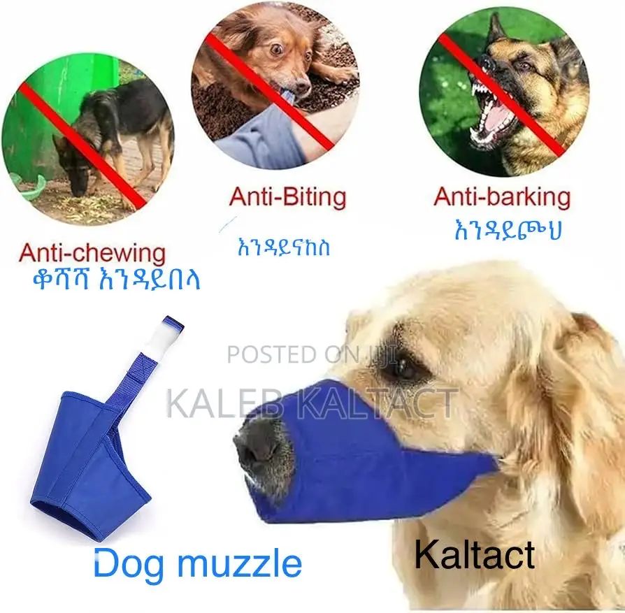 Dog Muzzles