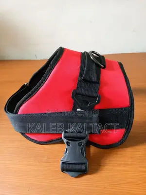 Photo - Full Body Non Pull Dog Harness