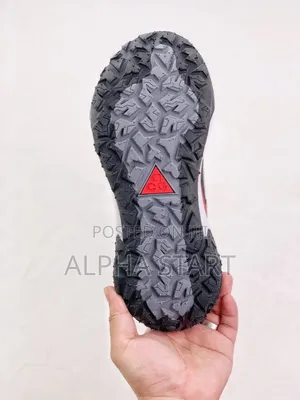  Nike ACG Mountain Fly 2 Low Top Shoes