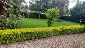 4bdrm House in Tafo Ccd, Bole for sale