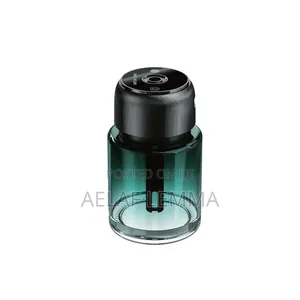 Car and Home Fragrance Air Diffuser