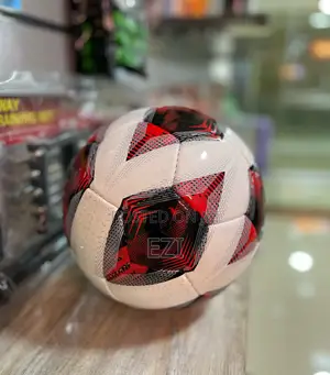 Molten (490) Size 5 Balls