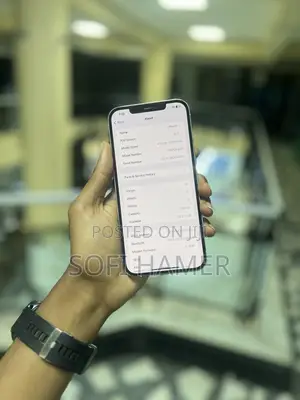 Apple iPhone 12 Pro Max 256 GB Silver