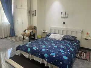 Furnished 2bdrm Apartment in Tsega Real Estate, Bole for rent