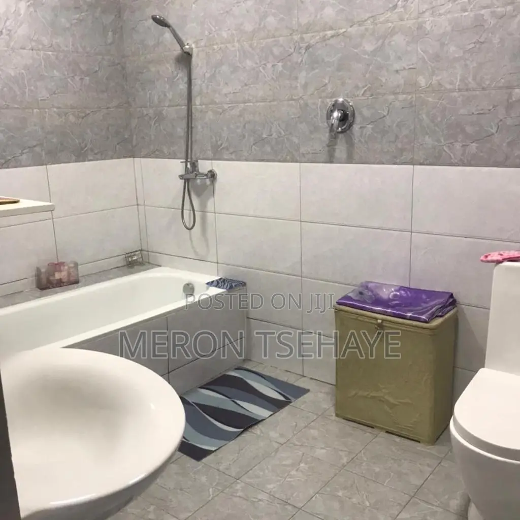 Furnished 2bdrm Apartment in Tsega Real Estate, Bole for rent