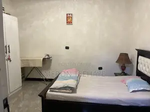 Furnished 2bdrm Apartment in Tsega Real Estate, Bole for rent