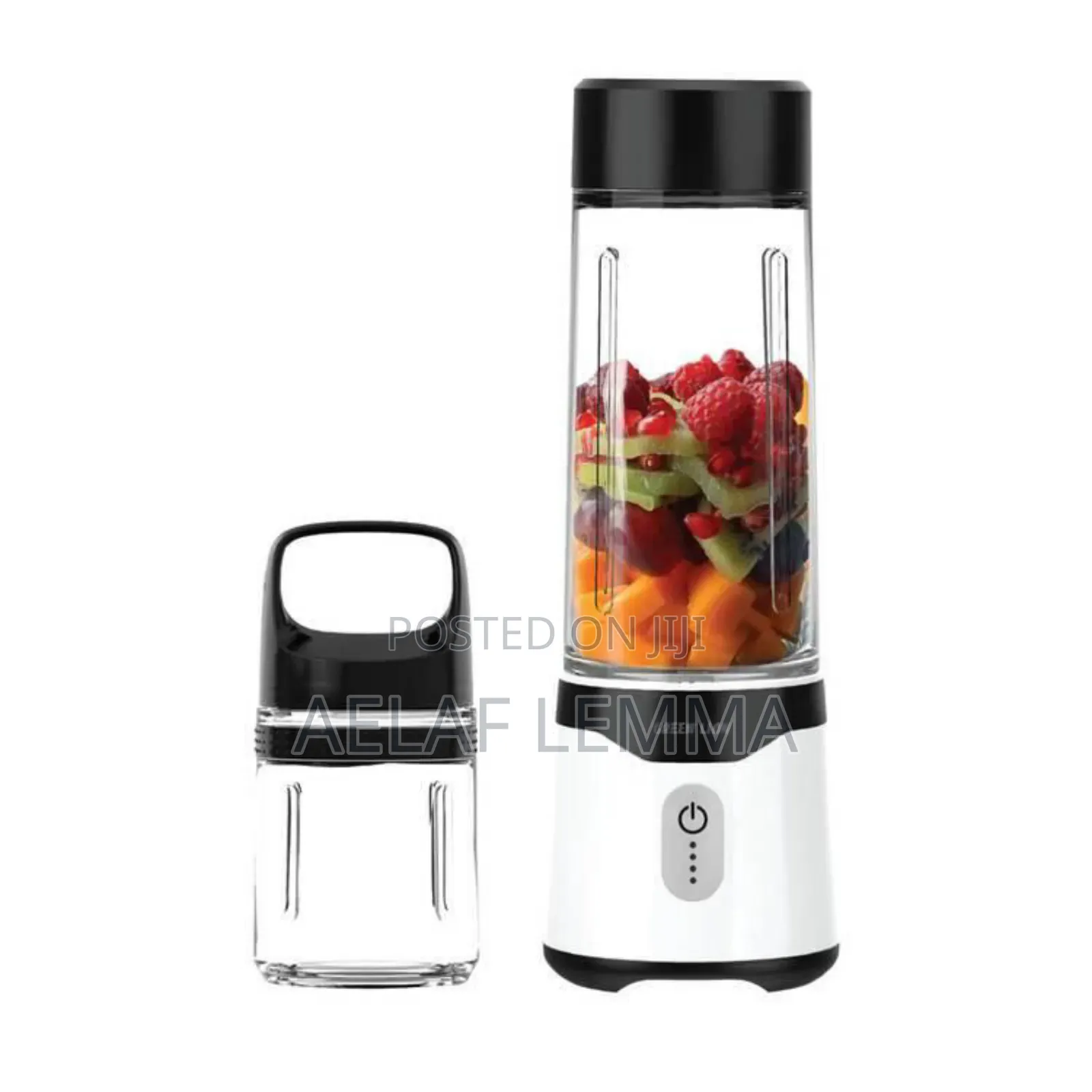 Green Lion Summer Mate Portable Blender