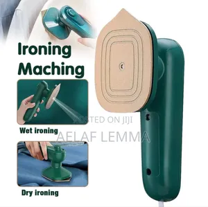Mini Dry Iron With Spray