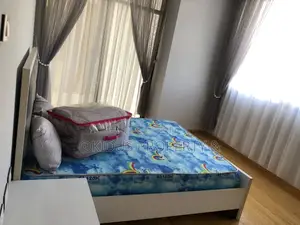 Furnished 1bdrm Apartment in Carl Square, Nifas Silk-Lafto for rent