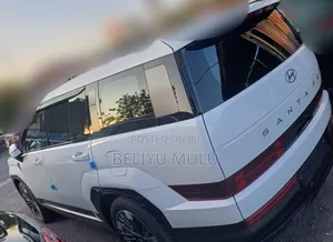 Photo - New Hyundai Santa Fe 2024 White