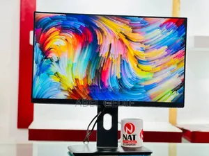 Dell Monitor 24 Inch