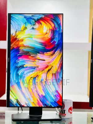 Dell Monitor 24 Inch