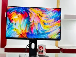 Dell Monitor 24 Inch