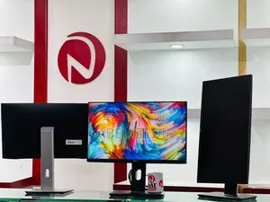 Photo - Dell Monitor 24 Inch